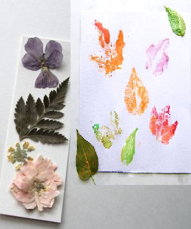 Nature Craft